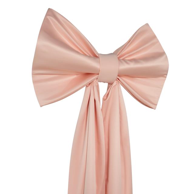 Rental store for BOW, LARGE PINK W TAIL in Fairview Heights IL